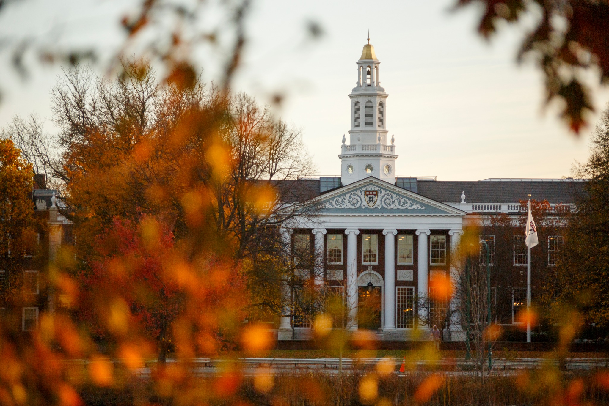 Khuôn viên Đại học Harvard, tháng 11/2024. Ảnh: Grace DuVal/Harvard University Fanpage